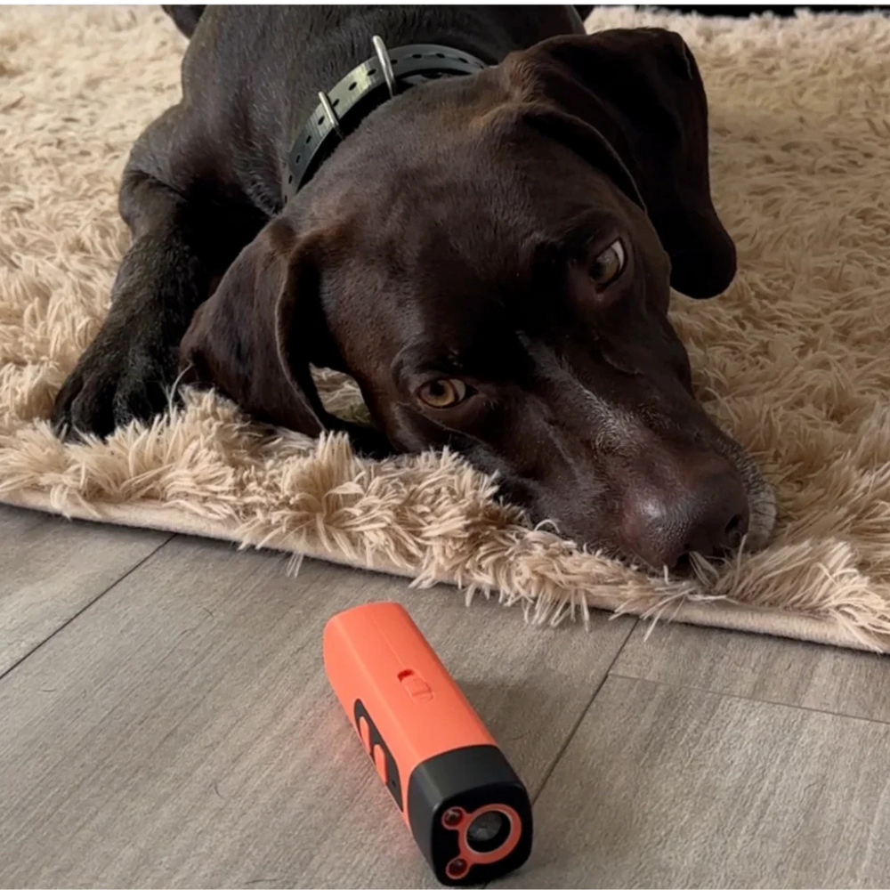 Orange and black handheld device lying on a gray wood floor in front of a resting brown dog 2