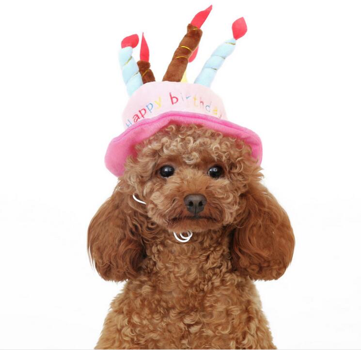 Birthday Hat for Dogs and Cats - PartyPaws-Blue-Nora Luxe
