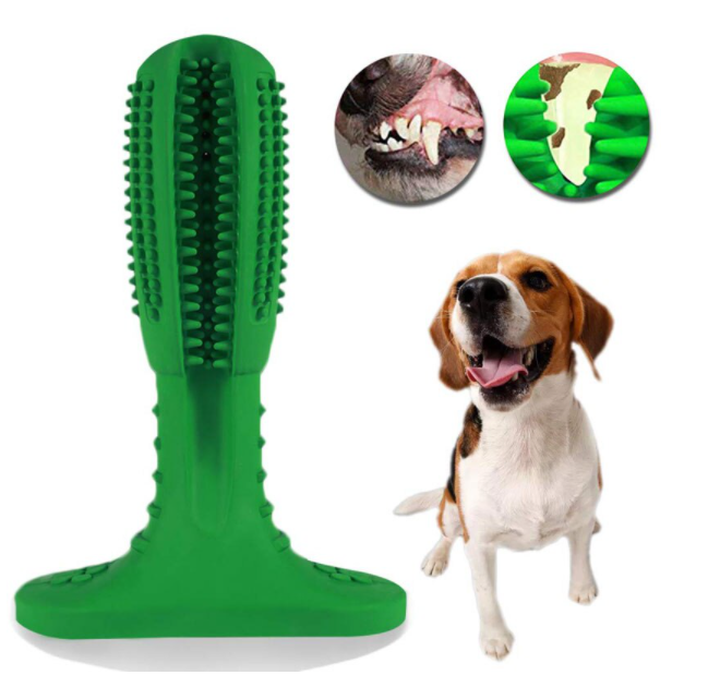 Dog Toothbrush - ChewyClean-M-Nora Luxe