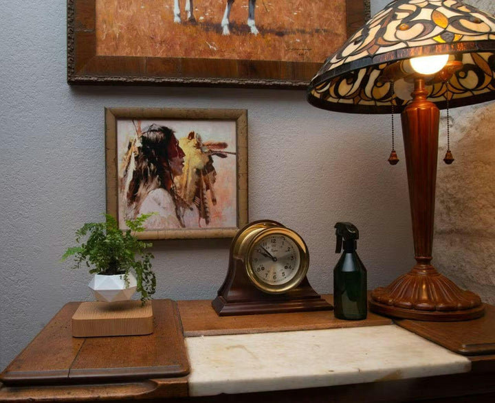 Floating Plant Holder with Magnetic Levitation - Liva-Walnut Base-The Livary
