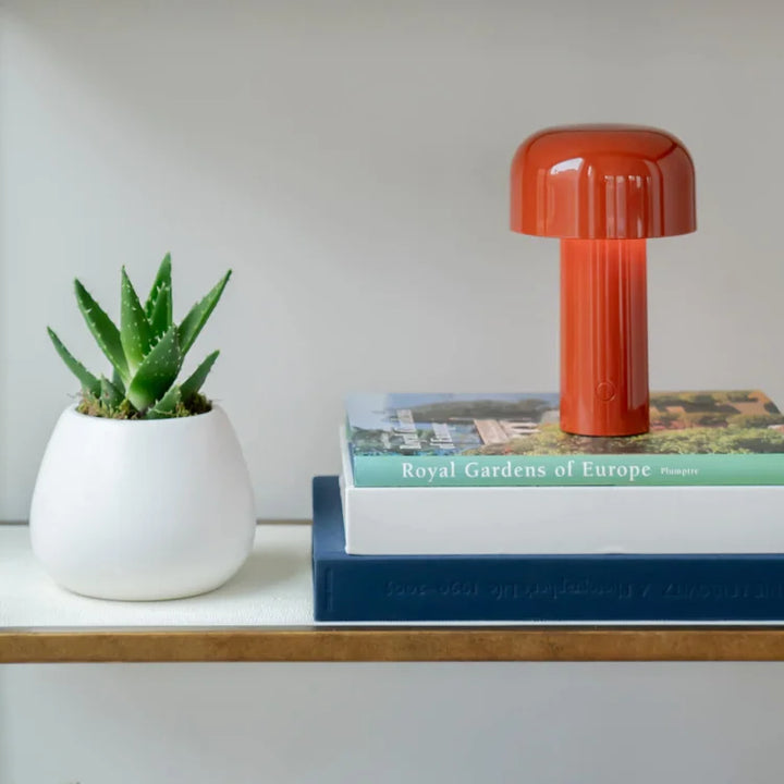 Red-orange lamp on a stack of books on a shelf, next to a potted aloe 17