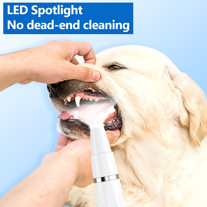 Pet Tartar Remover - Ultrasonic Tooth Cleaner-Black-Nora Luxe