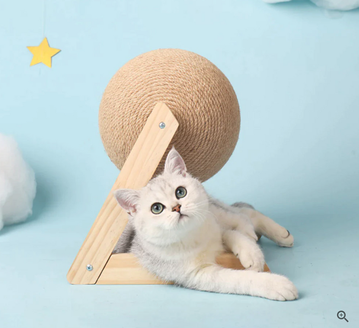 Versatile Cat Toy - CatScratch Wonderland-Small (4.72 inches Diameter)-Nora Luxe