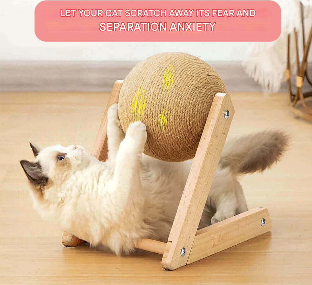 Versatile Cat Toy - CatScratch Wonderland-Small (4.72 inches Diameter)-Nora Luxe