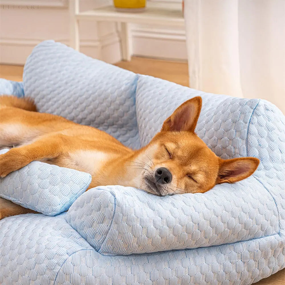 Washable Plush Pet Bed - CozyPaws-Blue-M-Nora Luxe