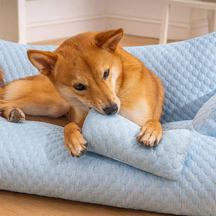 Washable Plush Pet Bed - CozyPaws-Blue-M-Nora Luxe