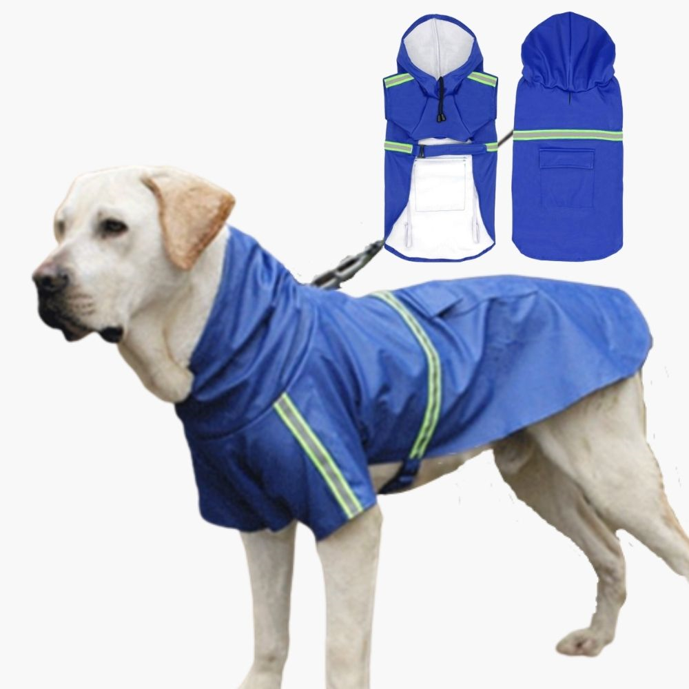 Waterproof Dog Coat - StormPaw-Blue-S-Nora Luxe